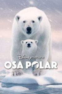 Osa Polar [Subtitulado]